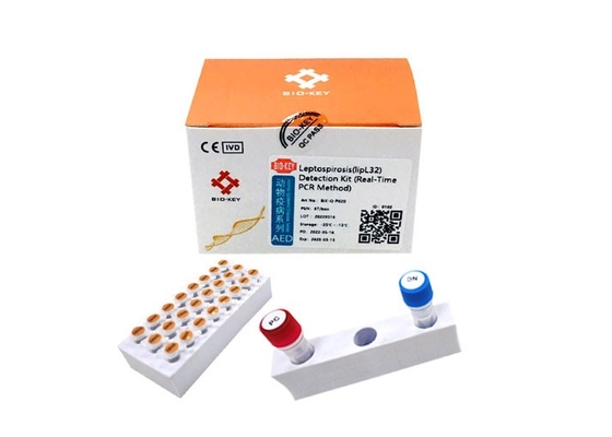 CLep Canine Dog Test Kit DNA Polymerase Leptospira Test Fluoresensi PCR