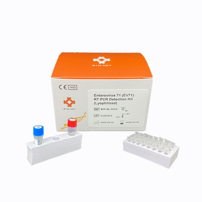 RT PCR Enterovirus 71 Kit Tes Cepat Kit Deteksi DNA Lyophilized