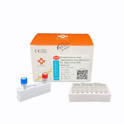 Kit Uji Streptococcus Probe Fluorescent Kit Akuakultur PCR Ct38