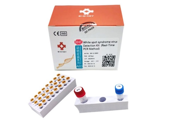 Vannamei udang White Spot Syndrome Virus WSSV Rapid Test Kit Udang Baculovirus PCR Kit