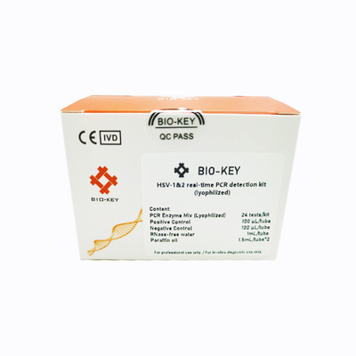 CE HSV-1/2 Kit Deteksi PCR Waktu Nyata Lyophilized 24tests/Kit