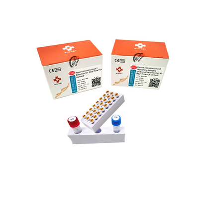 Porcine Circovirus Tipe 2 Porcine Dna Test Kit Micgene Uji Asam Nukleat PCR