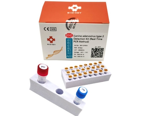 ISO13485 Canine Adenovirus Pcr Test Kit Tes DNA Anjing Taq Ploymerase Tipe II