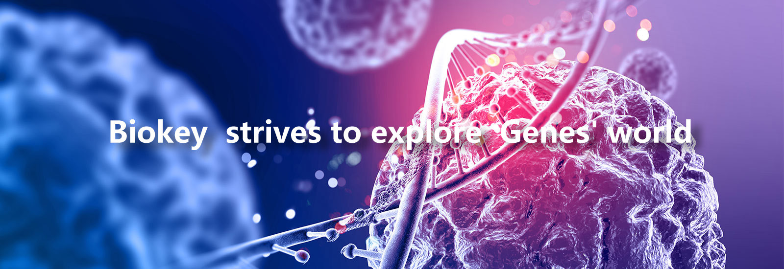 kualitas Mesin RT qPCR pabrik