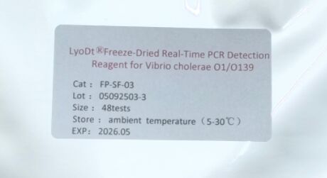 LyoDt® Reagen Deteksi PCR Real-Time Beku-Kering untuk Vibrio cholerae O1/O139 - Tidak Memerlukan Rantai Dingin & Pra-Dispensed Uji Tunggal
