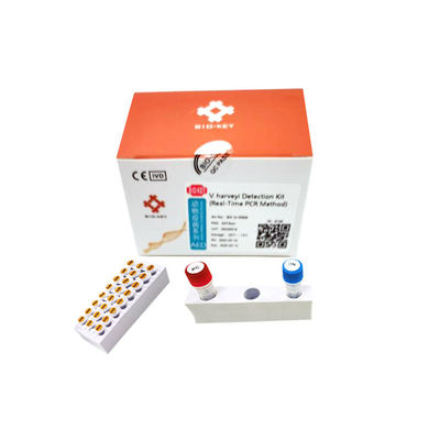 Sampel Air Kit Uji Akuakultur Vibrio Harveyi Asam Nukleat PCR Waktu Nyata