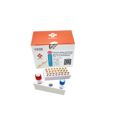 Infectious Myonecrosis Virus Dna Amplification Kit Kit Deteksi Asam Nukleat IMNV