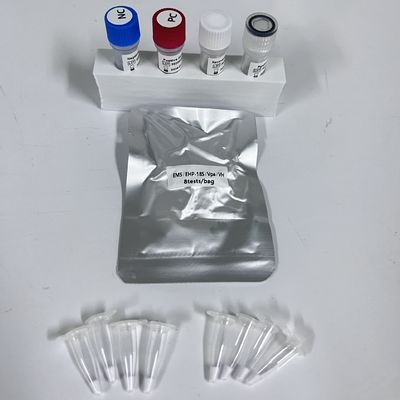 Tisu Udang Vpa Vibrio Parahaemolyticus Real Time PCR Detection Kit