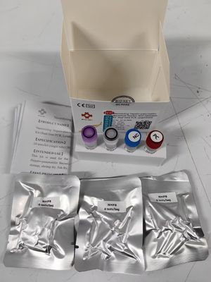 Kit Uji Pcr Taqman Kuantitatif Fluoresen Asam Nukleat Patogen Air NHPB