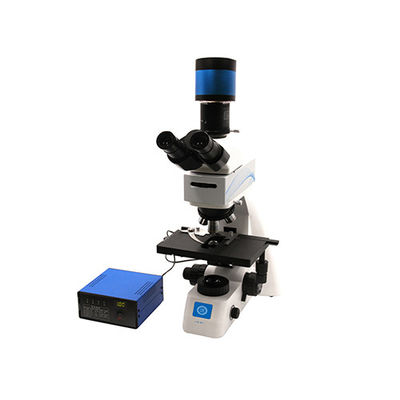 Mikroskop Biologis vertikal fokus kasar / mikro koaksial B70F