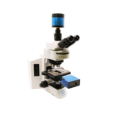 Mikroskop Biologi Fluoresen Tegak B60F
