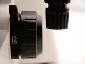 Mikroskop Biologis vertikal fokus kasar / mikro koaksial B70F