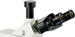 Mikroskop Biologi Fluoresen Tegak B60F