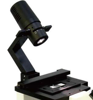 Desain Ramping B80iF Mikroskop Biologis Terbalik untuk Observasi Jaringan Sel