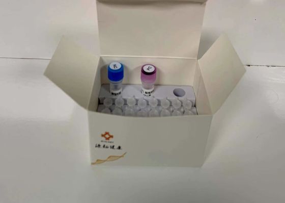 Kit Diagnostik PCR Kuantitatif Fluoresen Deteksi Molekuler Patogen Air 48 Tes/Kit Diagnosis